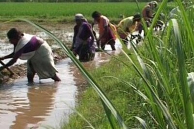 Agriculture plan allocation up 300 pc in 5 yrs