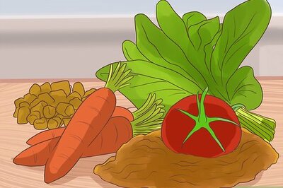 How to Support a Dog with Dementia