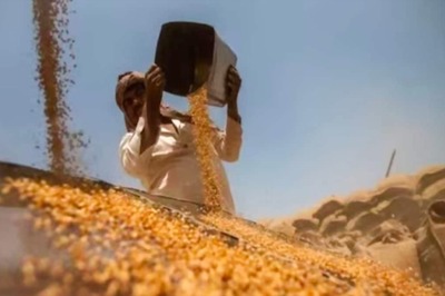 FCI Sells 4.29 Lakh MT of Wheat, 14,760 MT of Rice in Bengal Through E-auction