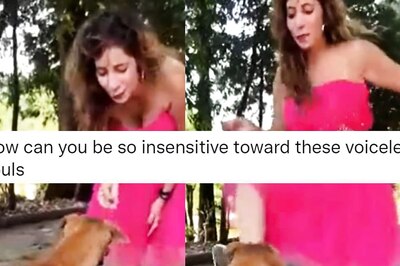 Instagram Influencer Kicks Dog For Reel, Posts Video of 'Good Deeds' After Outrage