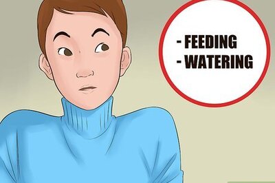How to Become a Breeder