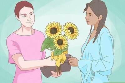 21 Types of Yellow Flowers & Their Meanings