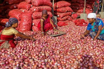 Wholesale Inflation Increases to 0.73% in December, Food Prices Rise Sharply