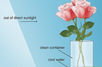 How to Keep Rose Petals Fresh