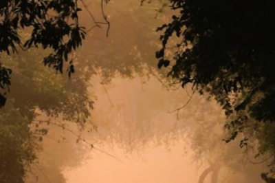 This 9-Year-Old's Morning Stroll Photo Lands Her Wildlife Photographer Of The Year Award