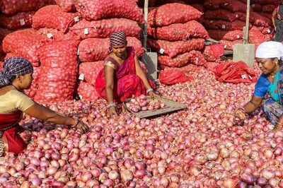 Govt Allows Onion Exports to Bangladesh, Mauritius, Bahrain, Bhutan