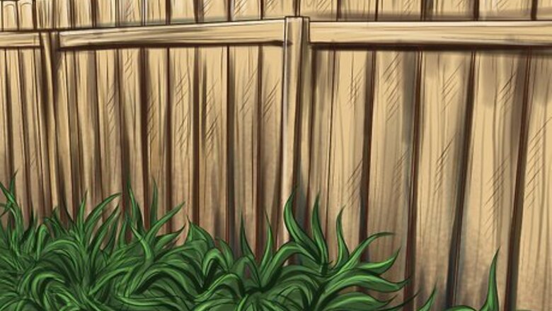 How to Build a Chicken Friendly Garden
