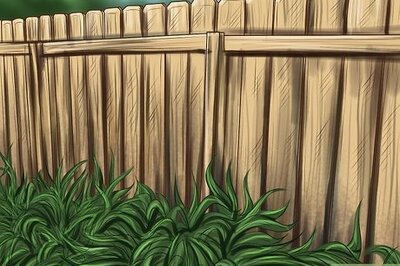 How to Build a Chicken Friendly Garden