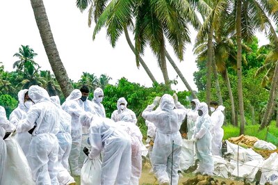 South Karnataka on High Alert Over Bird Flu Reported in Kerala