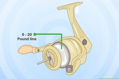 How to Fish for Squid
