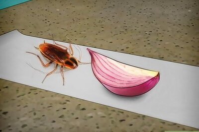 How to Trap Cockroaches