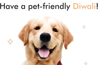 Here Are Some Ways In Which One Can Celebrate A Pet-Friendly Diwali