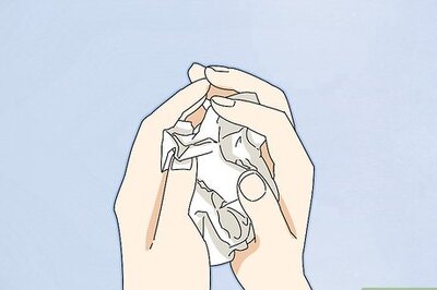 How to Entertain Your Guinea Pig