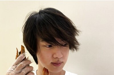 BTS Jin Flaunts His Long Hair In Latest Pictures, ARMY Calls Him 'Boyfriend Material'