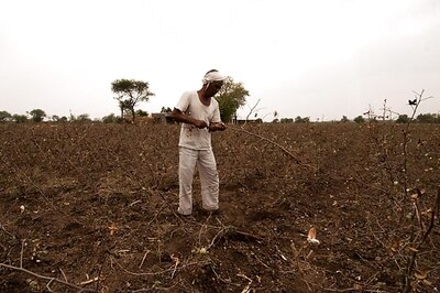 Farmer Suicide Problem Worsening in Maharashtra, Number of Deaths Increases: RTI