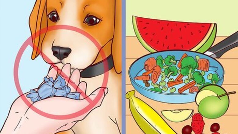 How to Keep Your Dog Safe on Halloween