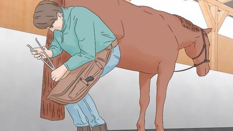 How to Be a Farrier
