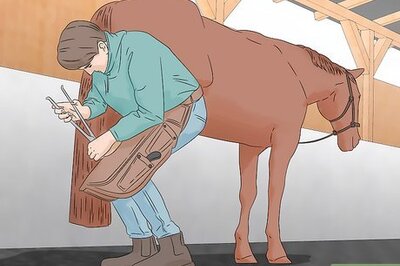 How to Be a Farrier