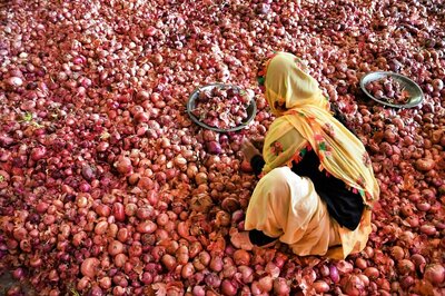 India Lifts Ban on Onion Exports after Price Stabilises, Says Union Food Minister