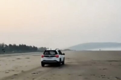 Delhi Men Recklessly Drive Near Turtle Nesting Area In Goa, Case Registered