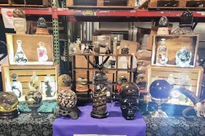 40-year-old New York Woman Turns Carcasses Into Art Business