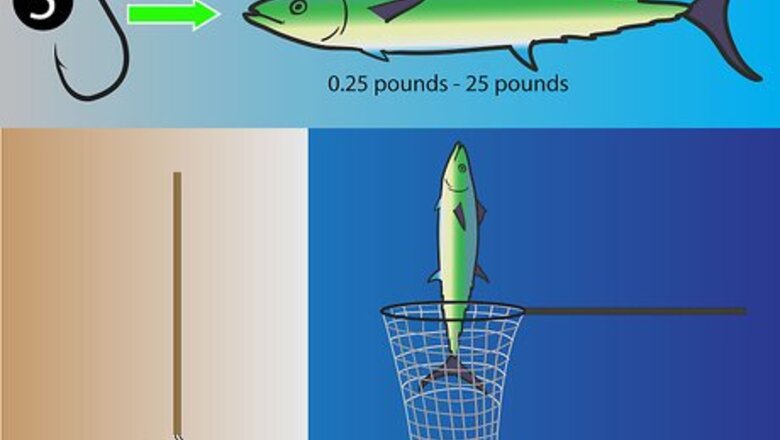 How to Choose a Hook for Saltwater Fishing