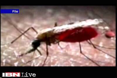 AIIMS staffer dies of dengue