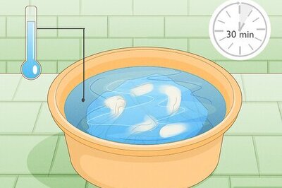 How to Remove Insect Stains from Fabric