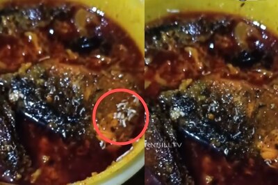 Nagaland Woman Finds Live Maggots in Fish Curry, Hotel Sealed After Video Goes Viral