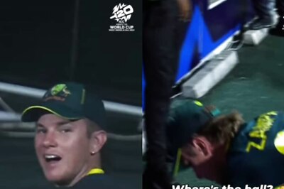 Watch: Scenes From Gully Cricket as Adam Zampa Searches for 'Lost Ball' Inside Advertising Board
