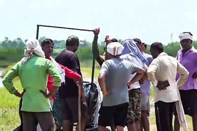 'Where Wolf?' Attacks in UP Carried Out by 'Hybrids', Suspect Experts