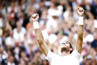 Juan Martin del Potro defeats David Ferrer to reach semi-finals