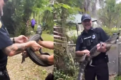 Alligator ‘Under-Arrest’ For Breaking Into 104-Year-Old’s Home In Florida. We Are Not Joking