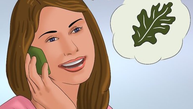 How to Buy an Oak Tree