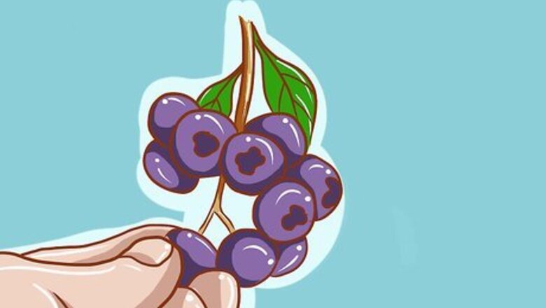 How to Know if Blueberries Are Bad (And How to Store Them Right)