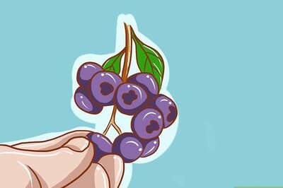 How to Know if Blueberries Are Bad (And How to Store Them Right)