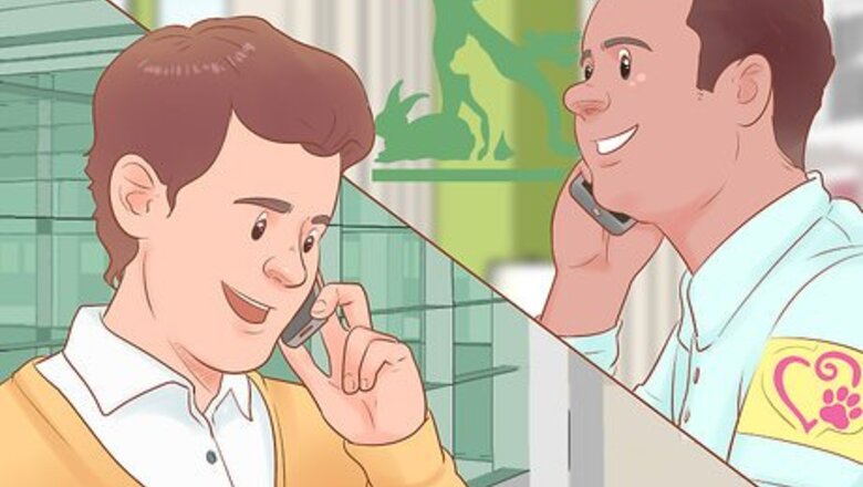 How to Throw a Kitten Shower