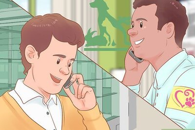 How to Throw a Kitten Shower