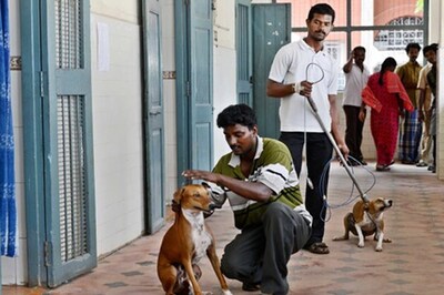 Chennai: Day after, Govt hospitals get makeover