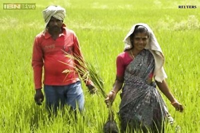 Centre to release Rs 400 crore crop insurance for Gujarat farmers