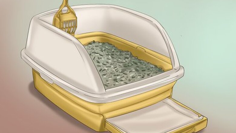 How to Relieve Urinary Tract Infections in Cats