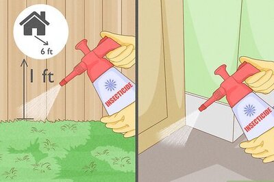 How to Get Rid of Scorpions