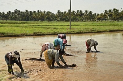 Tamil Nadu Sees Highest MGNREGS Work Demand This Monsoon; K'taka, Kerala Among Top 9 States