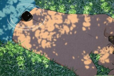 Black Agate 101: Meanings, Uses & More