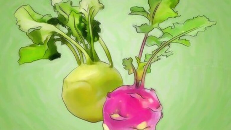 How to Grow Kohlrabi
