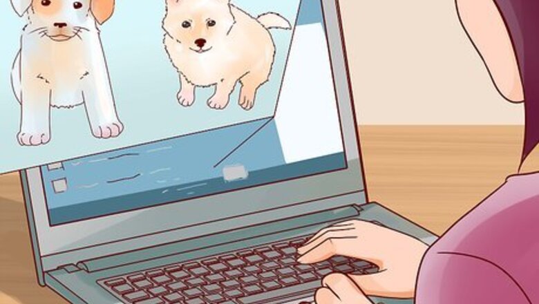 How to Convince Your Parents to Let You Get a Small Dog
