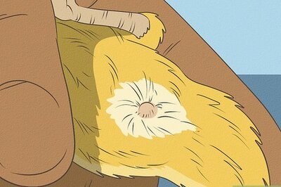 How to Get a Canary to Sing