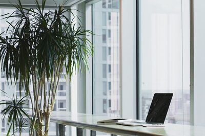 Designing with Nature: Maximizing Natural Beauty in Your Corporate Office