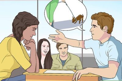 How to Set a Household Dog Walking Schedule