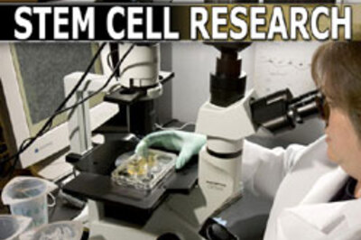 Bush set to veto stem cell bill